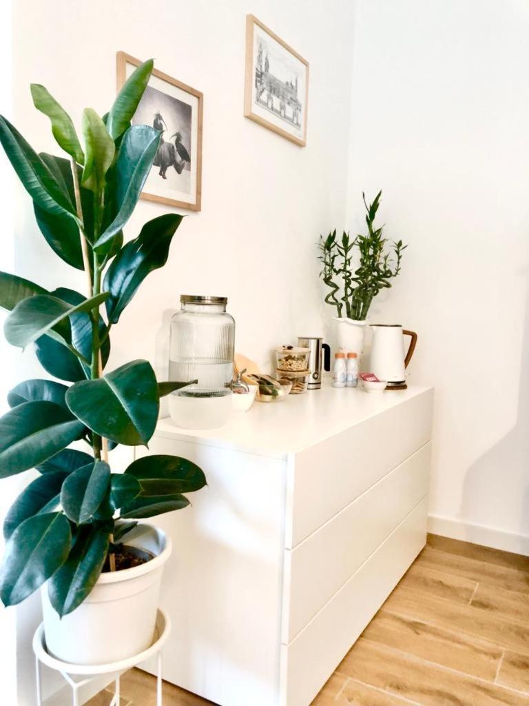 Stanza E Bagno Privato, Idromassaggio Con Extra Fee, In Appartamento Ferrara Buitenkant foto